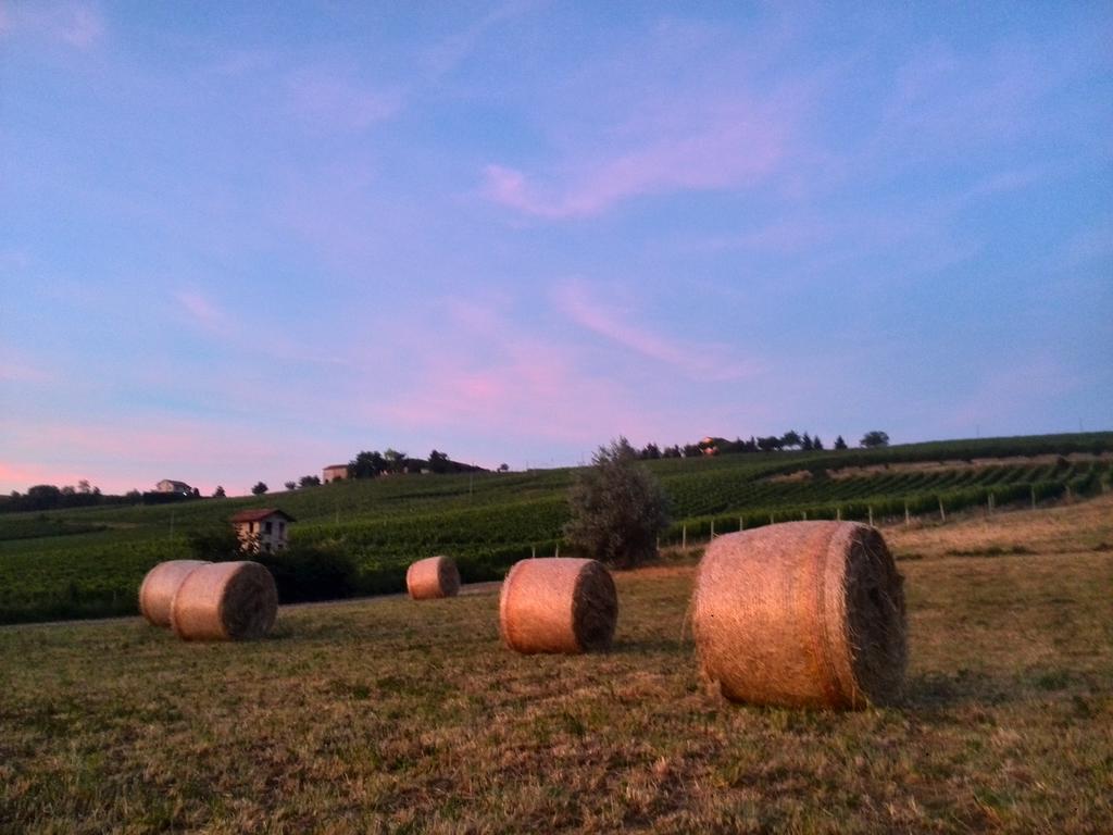 Apartamento I Boidi Nizza Monferrato Exterior foto