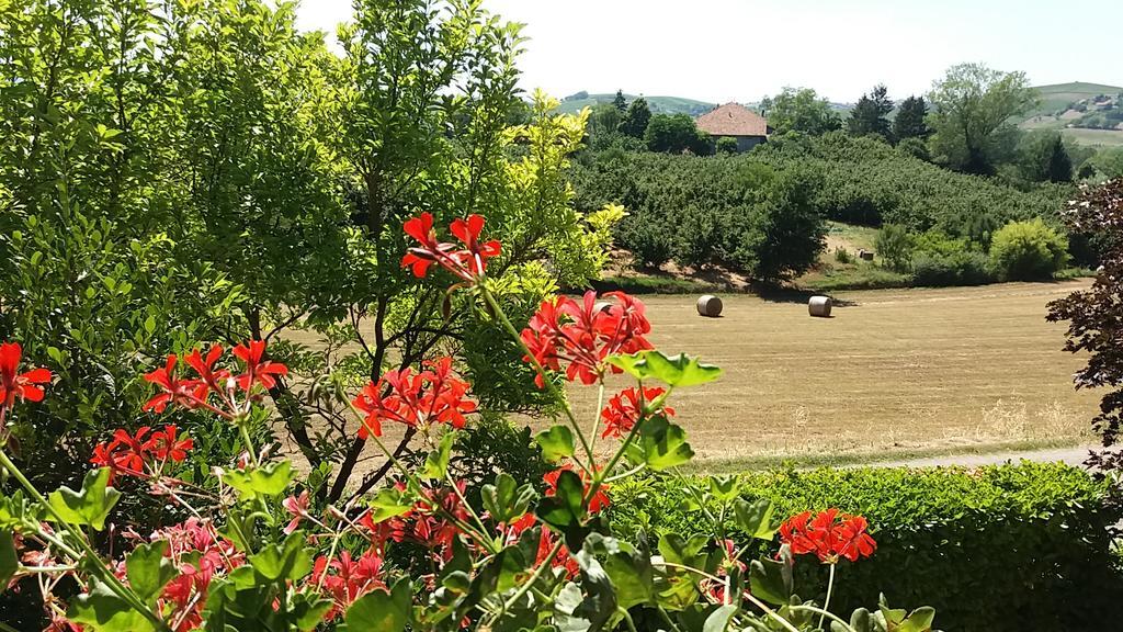Apartamento I Boidi Nizza Monferrato Exterior foto